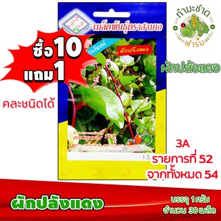 (ซื้อ10แถม1) เมล็ดพันธุ์ ผักปลังแดง Red Ceylon Spinach ประมาณ 30เมล็ด 3A สามเอ ผักสวนครัว เมล็ดพันธุ์พืช เมล็ดผัก