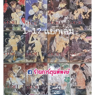 ล่ารักอันตราย เล่ม 1-12 (แยกเล่ม) หนังสือ การ์ตูน มังงะ วาย ล่ารัก อันตราย cn