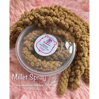 มิลเล็ตสเปรย์ Millet spray [แบ่งขายเป็นช่อ 70g] ช่อมิลเลต อาหารนก อาหารลูกนก แฮมสเตอร์