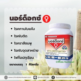 นอร์ ด็อกซ์ ขนาด 1 กิโลกรัม