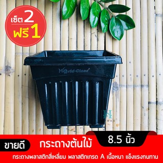 กระถางต้นไม้ 8.5 นิ้ว (เซ็ต 2 แถม 1) กระถางต้นไม้พลาสติก กระถางพลาสติกสี่เหลี่ยม