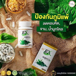 Ex พลูคาว สารสกัดแบบเข้มข้น เสริมสร้างระบบภูมิคุ้มกัน ลดภูมิแพ้ ต้านไวรัส ภูมิตก ต้านมะเร็ง ลดเบาหวาน