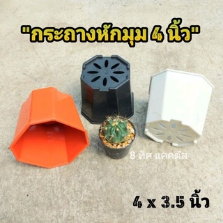 กระถาง 4 นิ้ว หักมุม // กด 50 ใบ 410฿ -- 8 เหลี่ยม หักมุม -- แคคตัส กระบองเพชร กระถางพลาสติก