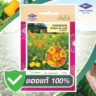 เมล็ดพันธุ์ดอกไม้ ตราเจียไต๋โฮมการ์เด้น ดาวกระจาย สีเหลืองส้ม คละสี
