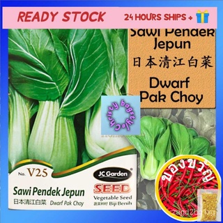 READY STOCK CYVegetable pak choy sawi pendek seed hot sales benih bunga sayur biji benih bunga sayur murahบ้านและสวน/สร้