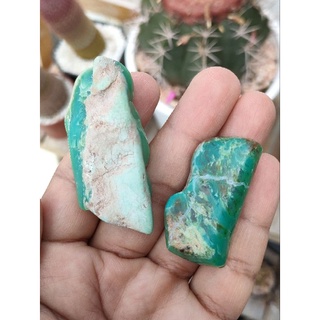 🍀 คริสโซเพรส ( Chrysoprase Tumble ) ก้อนเขียวหวานขัดผิวเรียบ