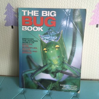 🎉โปรโมชั่นราคาพิเศษ THE BIG BUG BOOK (ปกอ่อนเล่มใหญ่หนา)