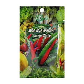 [พร้อมส่ง] HomeDoDee เมล็ดพันธุ์พริกชี้ฟ้า กรีน การ์เด้น เมล็ด เมล็ดพันธุ์ เมล็ดพันธุ์พืช