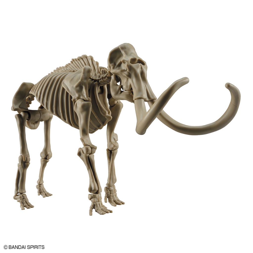 Exploring Lab Nature Mammoth ราคา ถูกที่สุด ดีลบีเคเค แกลเลอรีภาพที่ 7