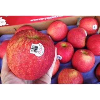 TOP-1แอปเปิ้ลเอนวี่ ENVY APPLE (1ลูก/ไซส์L) (NewZealand/USA) ~ลดพิเศษ~ Fruitage Premium Apple พรีเมี่ยม หวาน กรอบ อร่อย