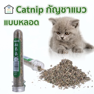 [🔥ลดเพิ่ม50.- ใส่โค้ดAPR8QU]PETHOUSE แคทนิปแบบหลอด catnip กัญชาแมวแบบหลอด 40 ml.