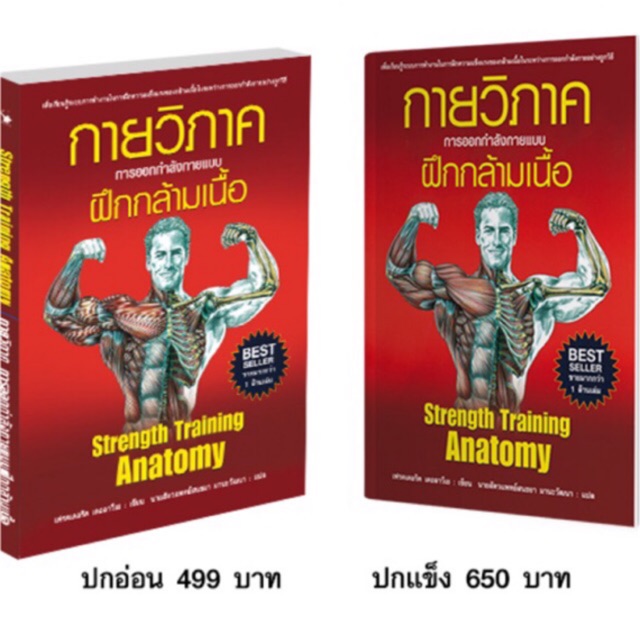 กายวิภาค การออกกำลังกายแบบฝึกกล้ามเนื้อ Strength training anatomy