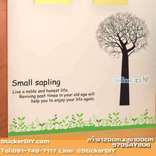 SALE Transparent Wall sticker สติ๊กเกอร์ติดผนัง Small sapling (กว้าง120cm.xสูง100cm.)