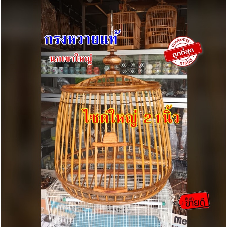 🔴กรงนกเขาใหญ่ กรงหวายแท้ ใบใหญ่ 20นิ้ว(🔴ออเดอร์ได้ครั้งละ1ลูกต่อ ออเดอร์)