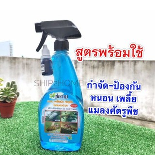 สเปรย์​ช่องามสตรกำจัดหนอน เพลี้ยแป้ง ศัตรูพืช แมลงต่างๆ สเปรย์พร้อมใช้ 500 ml​ **แถมหัวเชื้ออีก1ขวด**​