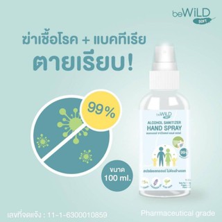 แอลกอฮอล์แฮนด์สเปรย์