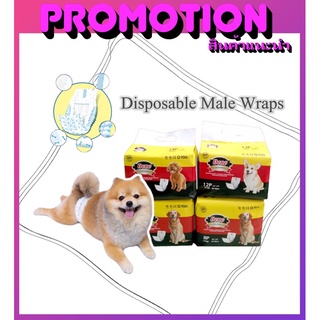 โอบิ สำหรับสุนัขเพศผู้   🐶แบบลายการ์ตูน 🐶พร้อมแถบวัดปริมาณปัสสาวะ (disposable male wraps) 💌สินค้าพร้อมส่ง💌