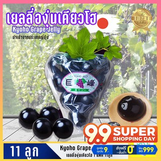 8.8 ลดสุดๆ เยลลี่องุ่นเคียวโฮ แท้ Kyoho grape jelly1แพค 11ลูก พร้อมส่ง  สินค้าเกรดพรีเมียม กำลังฮิตในตอนนี้