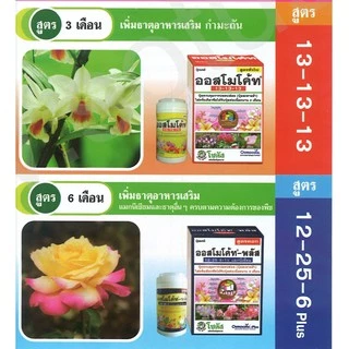 ปุ๋ยออสโมโค้ท ออสโมโค้ทพลัส ปุ๋ยละลายช้า ขนาด 100 กรัม ไม้กระถาง กล้วยไม้ แคตตัส ไม้ดอก ไม้ประดับ 13-13-13 12-25-6+1%