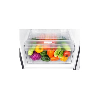 ตู้เย็น 2 ประตู LG ขนาด 6.6 คิว รุ่น GN-B202SQBB กระจายลมเย็นได้ทั่วถึง ช่วยคงความสดของอาหารได้ยาวนาน ด้วยระบบ Multi Air Flow #4