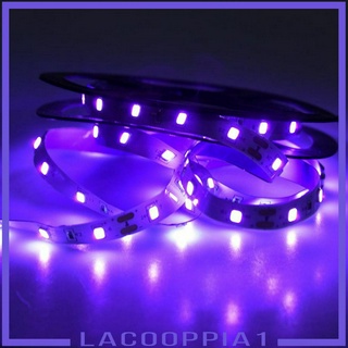 ( Lacoopia 1 ) Led 12V โคมไฟฆ่าเชื้อพร้อมปลั๊ก Us สําหรับวันเกิดงานแต่งงาน