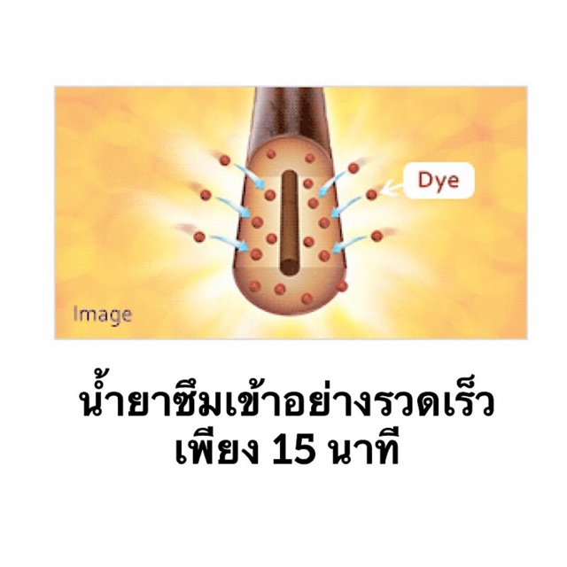 ครีมโฟมปิดผมขาว Salon de Pro จาก Dariya สีนํ้าตาลดำ เบอร์ 6 เกรดพรีเมี่ยมของญี่ปุ่น ทำง่าย