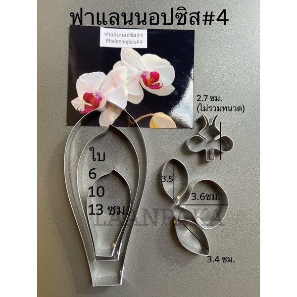 พิมพ์ตัดดอกฟาแลน ไซส์4,พิมพ์กล้วยไม้ฟาแลน#4
