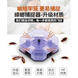 Cockroach trap box กล่องดักแมลงสาบ 4 ทิศทาง