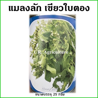 เมล็ดผัก เมล็ดผักสวนครัว แมงลัก ~90,000 เมล็ด ขนาด 25 กรัม เมล็ดพันธุ์ผัก​ ตราลูกโลก ปลูกง่าย หอมแรง โตเร็ว