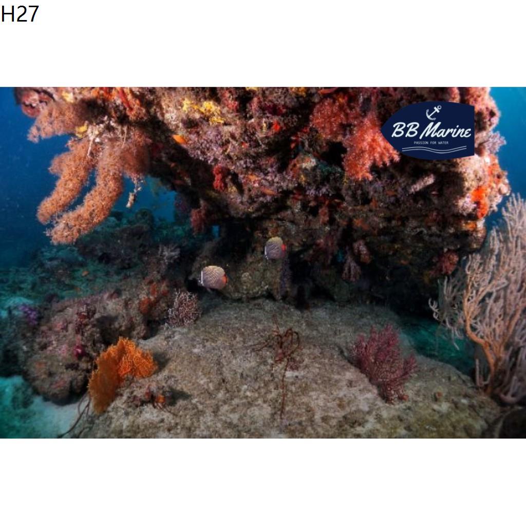 BBMarine คอร์สเรียนดำน้ำ Scuba Diving - Open Water - Scuba-Diving-Open-Water