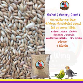 ข้าวไรย์ (Canary Seed) บำรุงขน(แบ่งขาย )