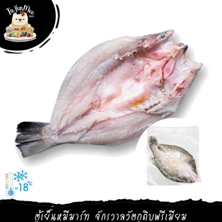 700-800G/PACK ปลากะพงผ่าผีเสื้อแช่แข็ง FROZEN BARRAMUNDI, FROZEN SEA BASS