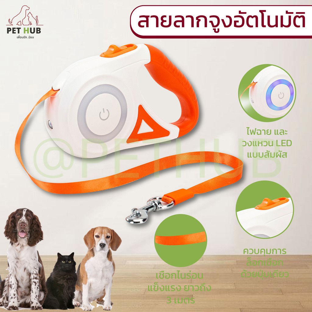 สายจูง อัตโนมัติ ปรับระดับได้ สายจูงแมว