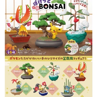 Re-ment Pokemon Pocket Bonsai มือ1
