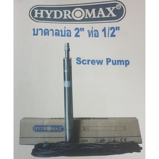 ปั๊มบาดาล HYDROMAX บ่อ 2"