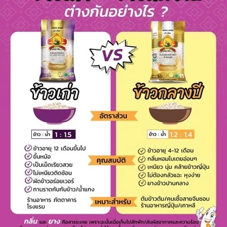 (จำกัดการซื้อ10ชิ้น/ไอดี) (ปี67)ข้าวหอมมะลิเก่าแท้100% 1KG ตราพญาไอยรา ชั้นพิเศษเกรดส่งออก