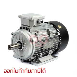 VALU (แวลู) มอเตอร์ รุ่น Y2-100L-4 กำลังมอเตอร์ 3 แรงม้า (2.2 กิโลวัตต์) ไฟ 3 เฟส 380 โวลต์ 3 สาย 4 โพล IP54