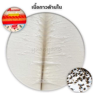 กาวดักแมลงวัน ANYBOND 1ซอง 10แผ่น ขายส่ง🔥 ZYZ-12