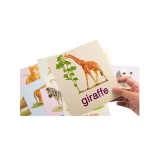 แฟลชการ์ดใบใหญ่ 🦒 Big Card 🦒 การ์ดคำศัพท์ animal 🦒 หนูชอบสัตว์น่ารัก 🦒 บัตรคำ 🦒 ศัพท์พื้นฐานเด็ก 🦒