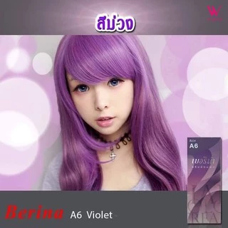 (A1-A20)Berina Hair Color Cream สีย้อมผมเบอริน่า สีเบอริน่า