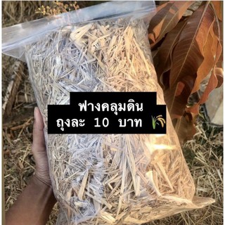 ฟางคลุมดินฟางแห้งซื้อ10ฟรี1ถุงละ10บาท