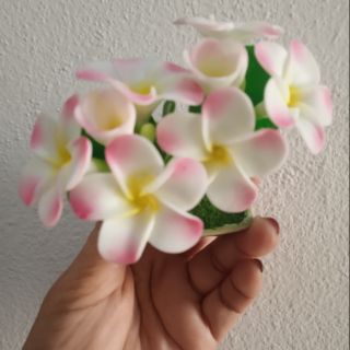 กระถางเหลี่ยมดอกลีลาวดี 4" ดินปั้น