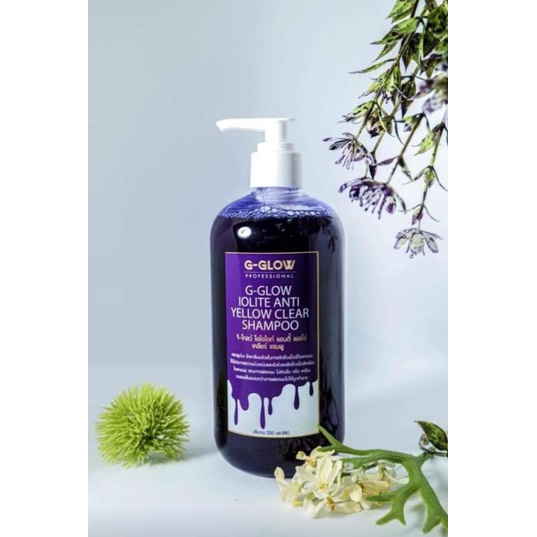 (หัวบีบ)แชมพูม่วงจีโกลว์ แอนตี้ เยลโล่ เคลียร์ แชมพู 500 มล.G-GLOW ANTI YELLOW CLEAR SHAMPOO