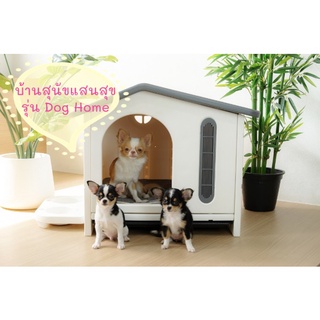 บ้านสุนัข รุ่น Dog Home สีขาว มีของแถมพร้อมใช้งาน บ้านสัตว์เลี้ยง บ้านหมา บ้านแมว ที่นอนหมา