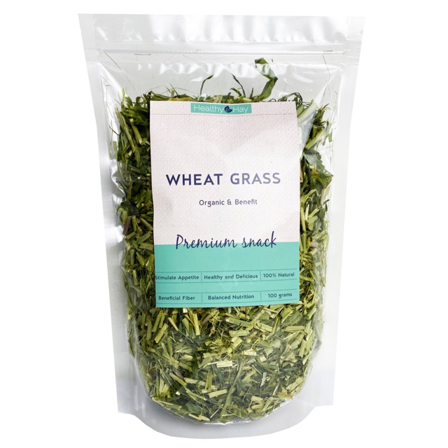 Wheat Grass หญ้า วีท กราส