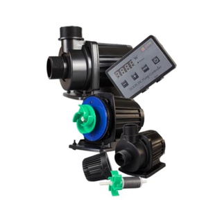 ZP - Series / Water Pump / ปั้มน้ำ / Zoox