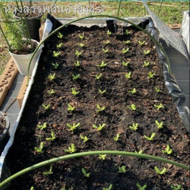 สวน50%☜☼รุ่นหนา กระบะปลูกผัก พร้อมโครงPVC SCG+ข้อต่อ (60x200x30 cm) SAMURAI ตรา ซามูไร