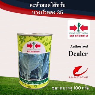 เมล็ดพันธุ์ คะน้าบางบัวทอง 100g