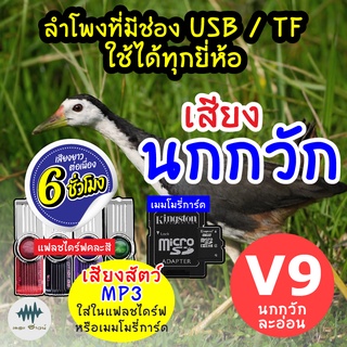 (MP3 เสียงต่อสัตว์) เสียงนกกวัก V.9 [6ชั่วโมง] ใส่แฟลชไดร์ฟ/เมมโมรี่ มีเก็บเงินปลายทาง เสียงดี ชัด100% ไม่มีโฆษณาแทรก