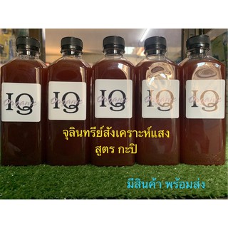 หัวเชื้อจุลินทรีย์สังเคราะห์แสง แท้100% สูตรเข้มข้น ปลอดภัย ออร์แกนิคแท้ 500cc